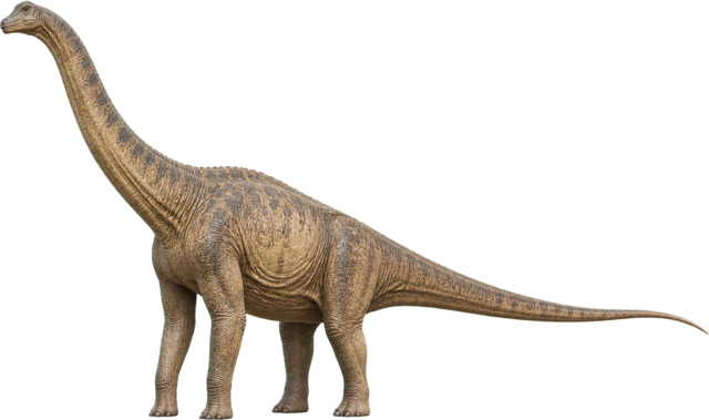 Brachiosaurus