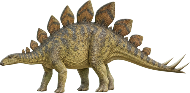 Stegosaurus